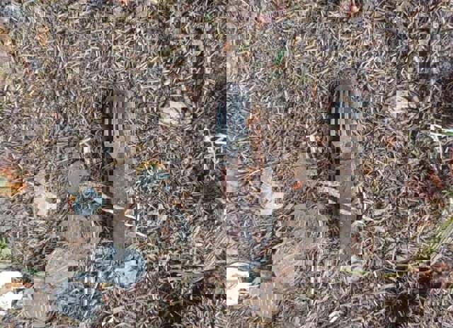 Niște turiști au găsit un femur. Salvamontiștii au descoperit și restul scheletului