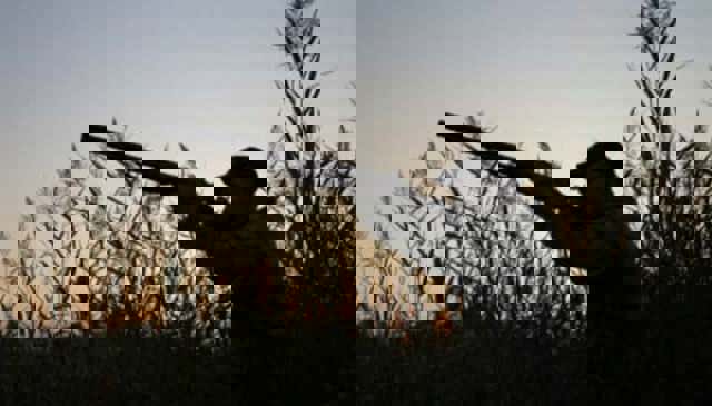 Vrancea: Bărbat împuşcat mortal, din greşeală, la o partidă de vânătoare