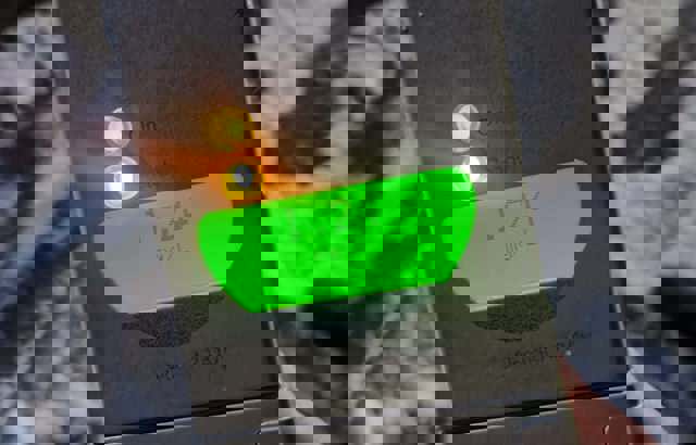 Șoferiță cercetată penal de polițiști după ce a fost implicată într-un accident rutier