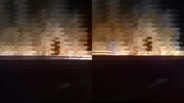 VIDEO 🎦 Un incendiu de vegetație a izbucnit la Valea Călugărească, în noaptea de miercuri spre joi, focul amenințând să ajungă la case