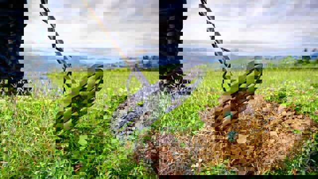 Un bărbat care a găsit o comoară primește o recompensă de aproape 30.000 de lei