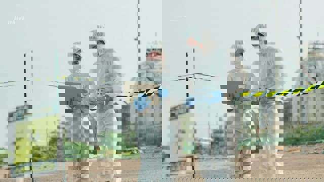 Focar de antrax în Vrancea. Vezi recomandările medicilor