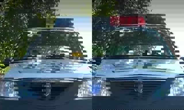 Poliţişti ameninţaţi cu topoarele de doi bărbaţi supăraţi că li s-a cerut că dea muzica mai încet