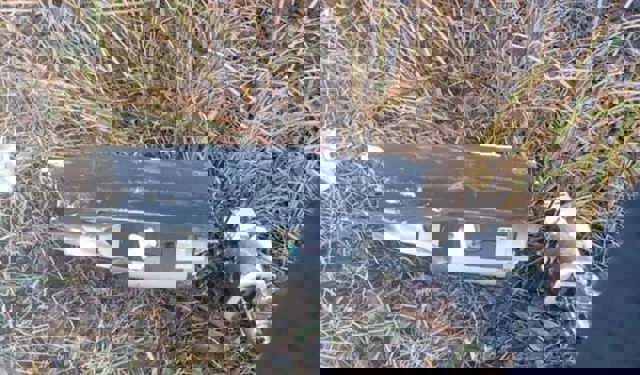 O dronă s-a prăbușit în curtea unei gospodării din Vaslui. Alerte au fost și în Vrancea, Galați și Tulcea