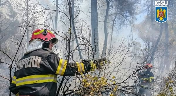 Arderea vegetației este strict interzisă!