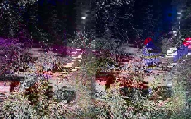 Un bărbat a murit strivit de un copac doborât de furtună, în timp ce participa la un concurs de alergare, în Masivul Giumalău