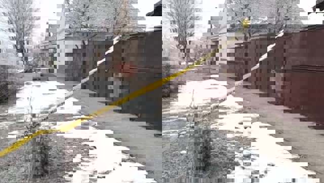 Crima din Cenei: Un criminolog român din Marea Britanie vorbește despre „o temă falsă care bagă sub preș adevăratele cauze ale violenței”