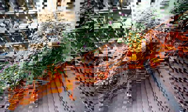 Mobilier urban multifuncţional, care aduce spaţiile verzi în mijlocul betoanelor din oraşe