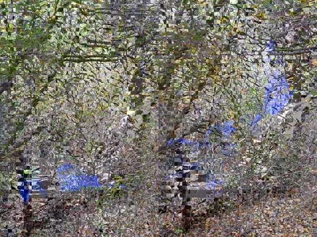 Accident aviatic în judeţul Vaslui. Proprietarul unui avion ultrauşor nu a mai putut lua legătura cu pilotul şi a alertat autorităţile