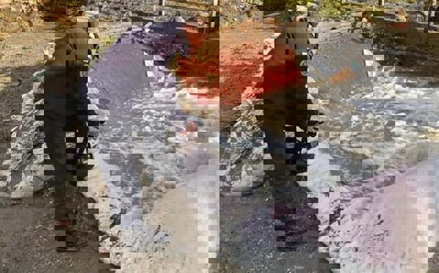 VIDEO 🎦 Un gospodar a săpat după apă și a dat de gaze. A fost nevoie de intervenția echipajelor de urgență pentru asigurare zonei