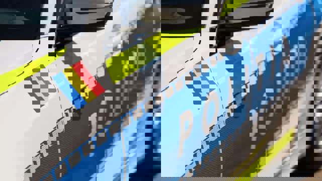 Un bărbat din Galați a fost arestat după ce a ucis câinele primit de la o vecină