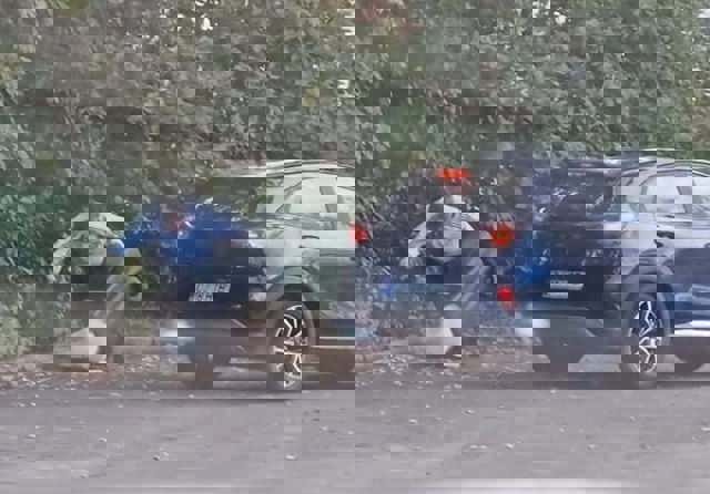 12.000 lei amendă pentru un bărbat care a abandonat un câine pe care l-a transportat închis într-un tomberon