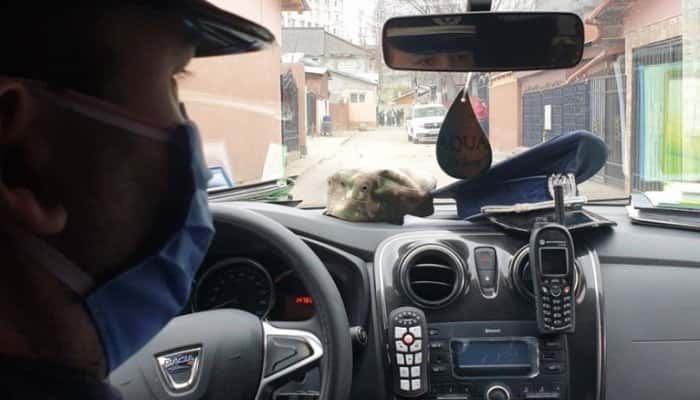 Sprijin pentru contestarea amenzilor luate pe timp de stare de urgenţă. Ce sfaturi transmite Avocatul Poporului