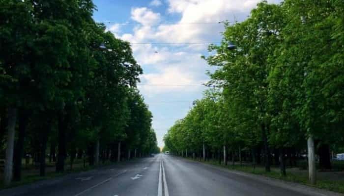 Președintele PSD Prahova, Bogdan Toader, propune închiderea circulației rutiere, pe Bulevardul Castanilor, în zilele de weekend