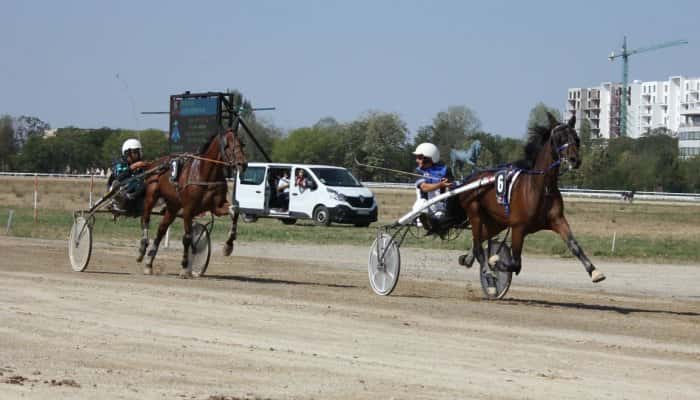 Replika s-a impus în Premiul cailor de 2 ani