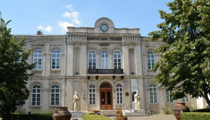 Alegerile locale nu închid doar școlile și grădinițele. Anunțul de ultimă oră al conducerii Muzeului de Istorie