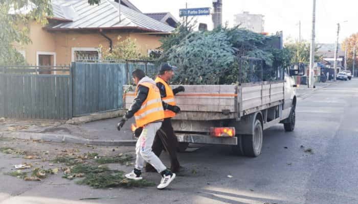 Brazi de la Crăciunul trecut, ridicaţi acum de pe străzile Ploieştiului. Câţi oameni sunt mobilizaţi azi la curăţenia generală