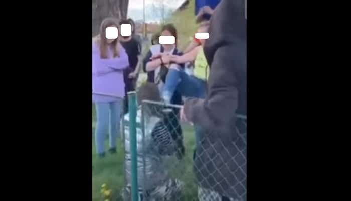 VIDEO – Dosar penal după apariția, pe internet, a unui clip cu o fată umilită și lovită de alți adolescenți