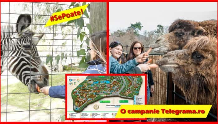 #SePoate! Idei de bun-simţ pentru dezvoltarea grădinii zoologice de la Bucov