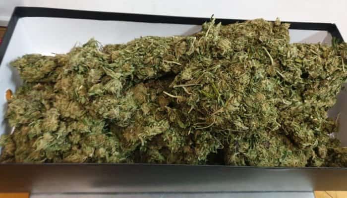 Peste trei kilograme de cannabis au fost descoperite în maşina unui bistriţean de 31 de ani, implicat într-un scandal cu concubina acestuia la care au intervenit poliţiştii, în noaptea de 16 spre 17 august, potrivit unui comunicat de presă al Inspectoratul General al Poliţiei Române