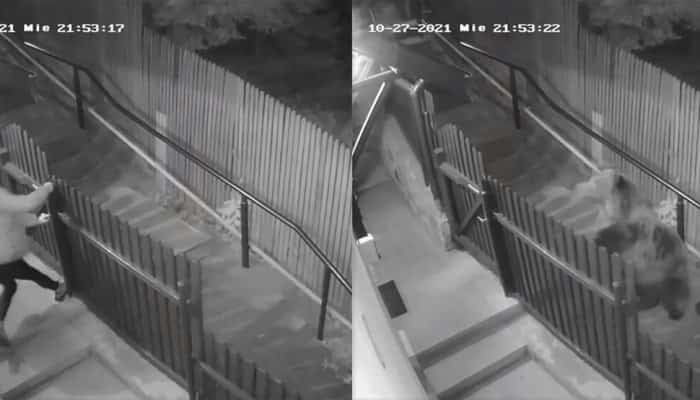 VIDEO | Doi urși fugăresc o femeie, la Sinaia. Imaginile care îți dau fiori