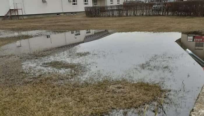 PRAHOVA: Amenzi pentru Petrom și Conpet, în urma scurgerilor de produs petrolier din conducte