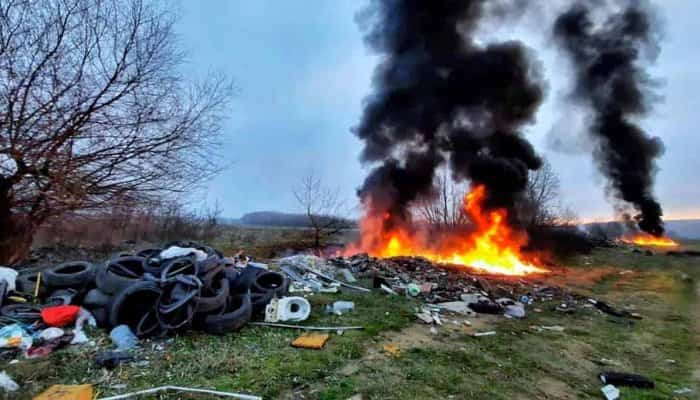 Închisoare pentru fapte ce atentează la viaţa ori sănătatea umană, animală, vegetală (adoptare tacită)