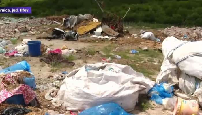 O tonă de gunoaie îngropate descoperite la Cernica, lângă București