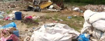 O tonă de gunoaie îngropate descoperite la Cernica, lângă București