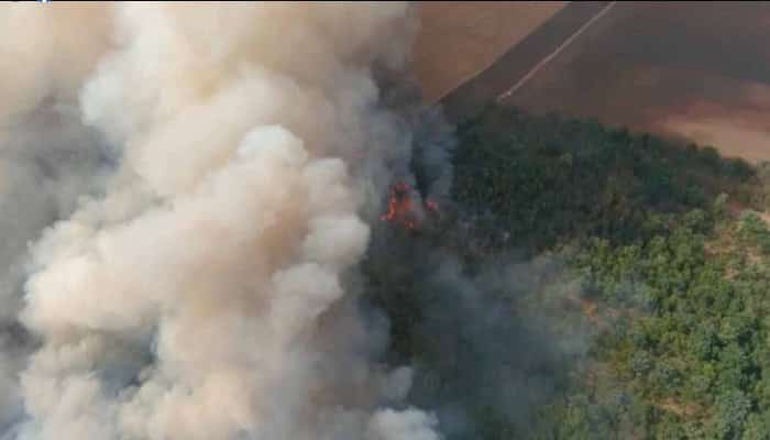 FOTO: 25 ha de vegetaţie uscată şi circa 50 ha de pădure, afectate de incendiul de la Sihlea