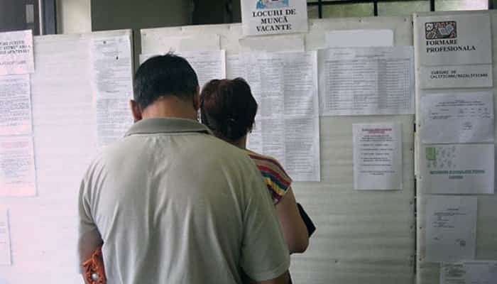 bursa locurilor de munca