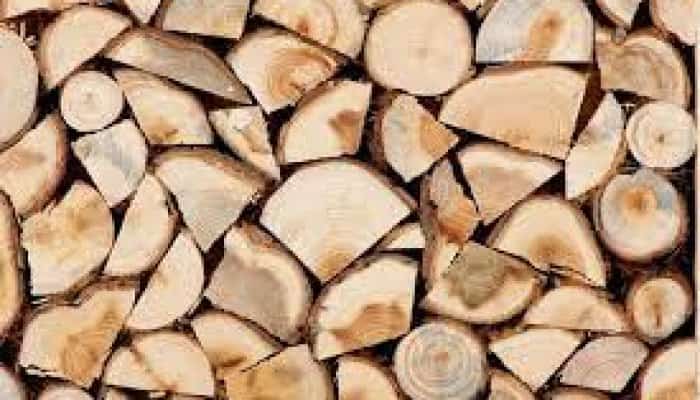 Nicolae Ciucă admite că Guvernul a greșit când a plafonat prețul lemnelor de foc la 400 lei/metru cub