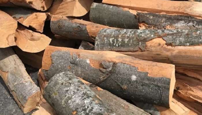 Prahovean acuzat de furt, după ce a luat lemne găsite pe marginea drumului 