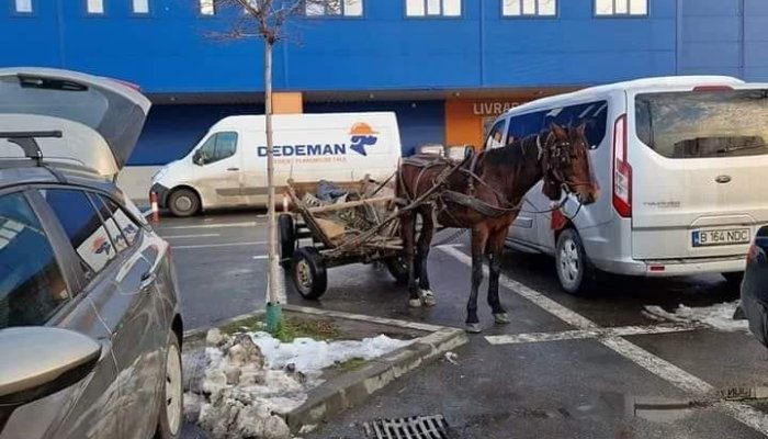 Un cal putere parcat regulamentar!