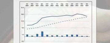 Rata inflației a scăzut la 15,1%, în ianuarie, după un an în care a bătut record după record