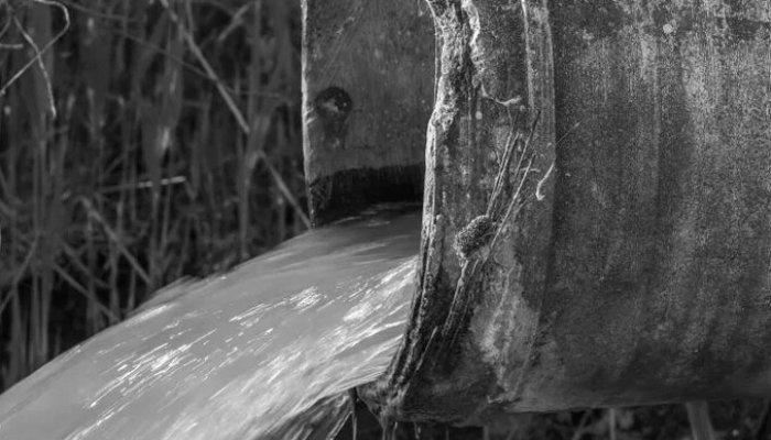 amenda garda de mediu sinaia