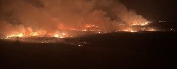VIDEO 🎦 Incendiu de vegetație pe 65 de hectare, azi-noapte, în estul județului Prahova