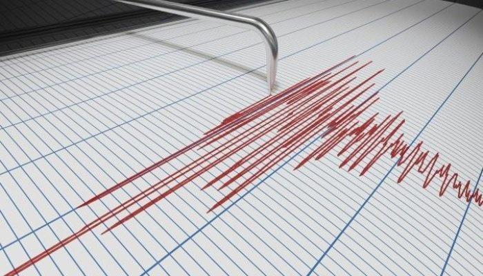 Cutremur cu magnitudinea de 4,9 în România 