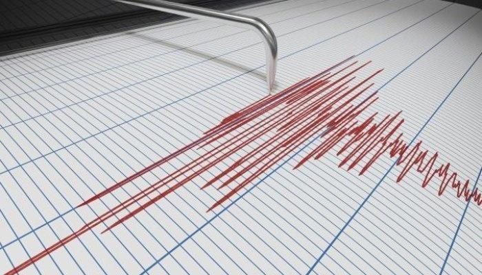 Cutremur de 3,8 grade pe Richter, azi-noapte, în zona Vrancea