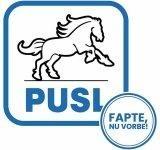 PUSL propune elaborarea unei strategii naționale privind datoria publică și gradul de îndatorare al României