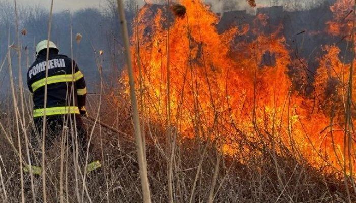 2000 mp de teren au fost cuprinse de foc în zona Parcului Chindia din Târgoviște