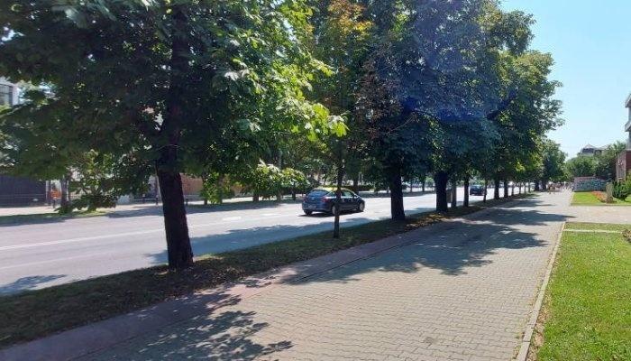 Modernizarea Bulevardului Independenţei din Ploieşti va costa 22,6 milioane de lei