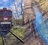 Mesaj RO-ALERT după ce un bărbat a fost atacat de urs într-o pădure din comuna Nucşoara