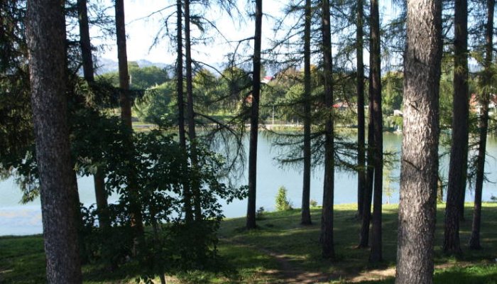 Legea prin care Lacul Brebu e preluat de Primărie, contestată la CCR