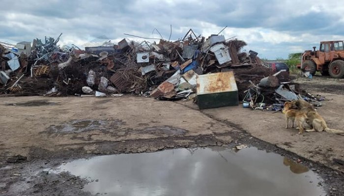 amendă garda de mediu mizil