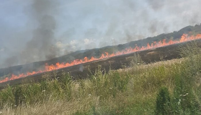 incendiu lan de grau banesti