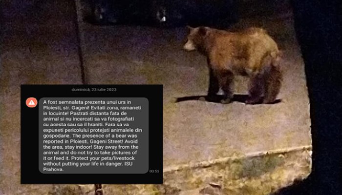 alerta urs ploiesti 23 iulie