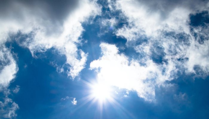 cod galben si portocaliu