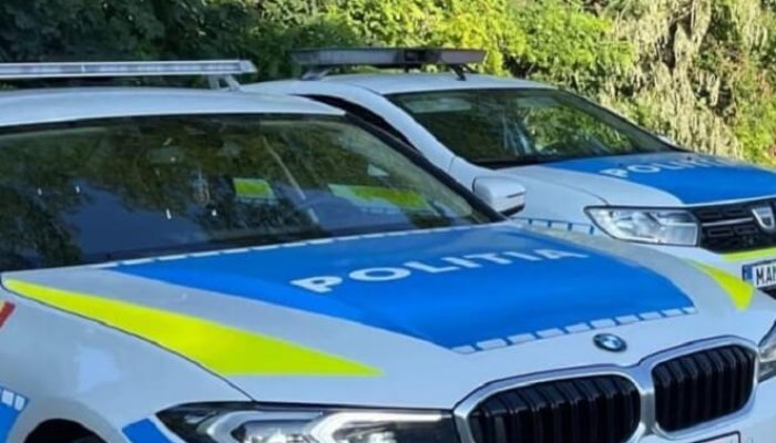 dosar penal cuțit în parc