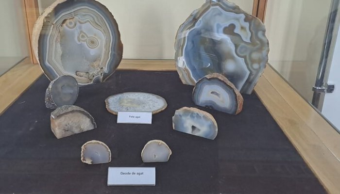 expoziție agate